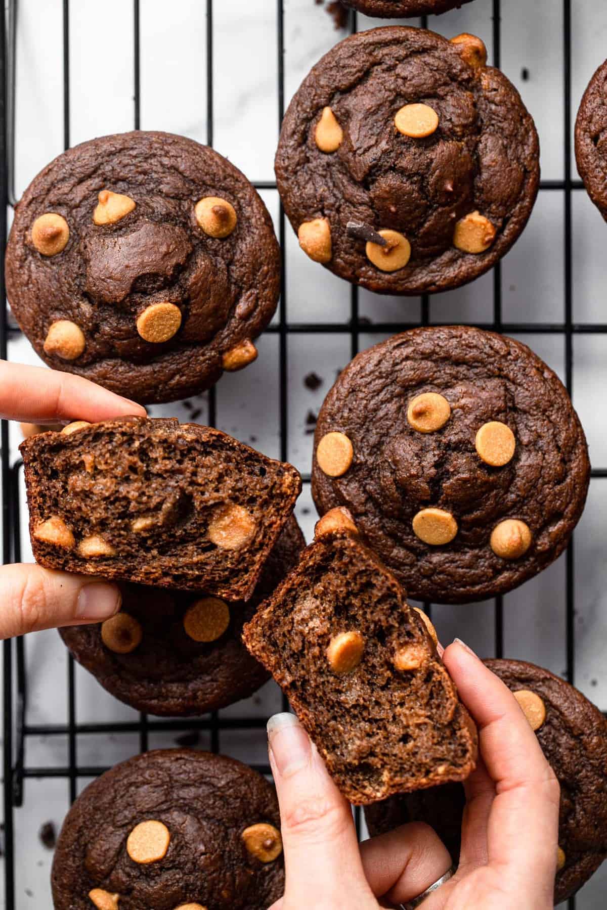 a hand holding healthy chocolate peanut butter muffins that are ripped in half