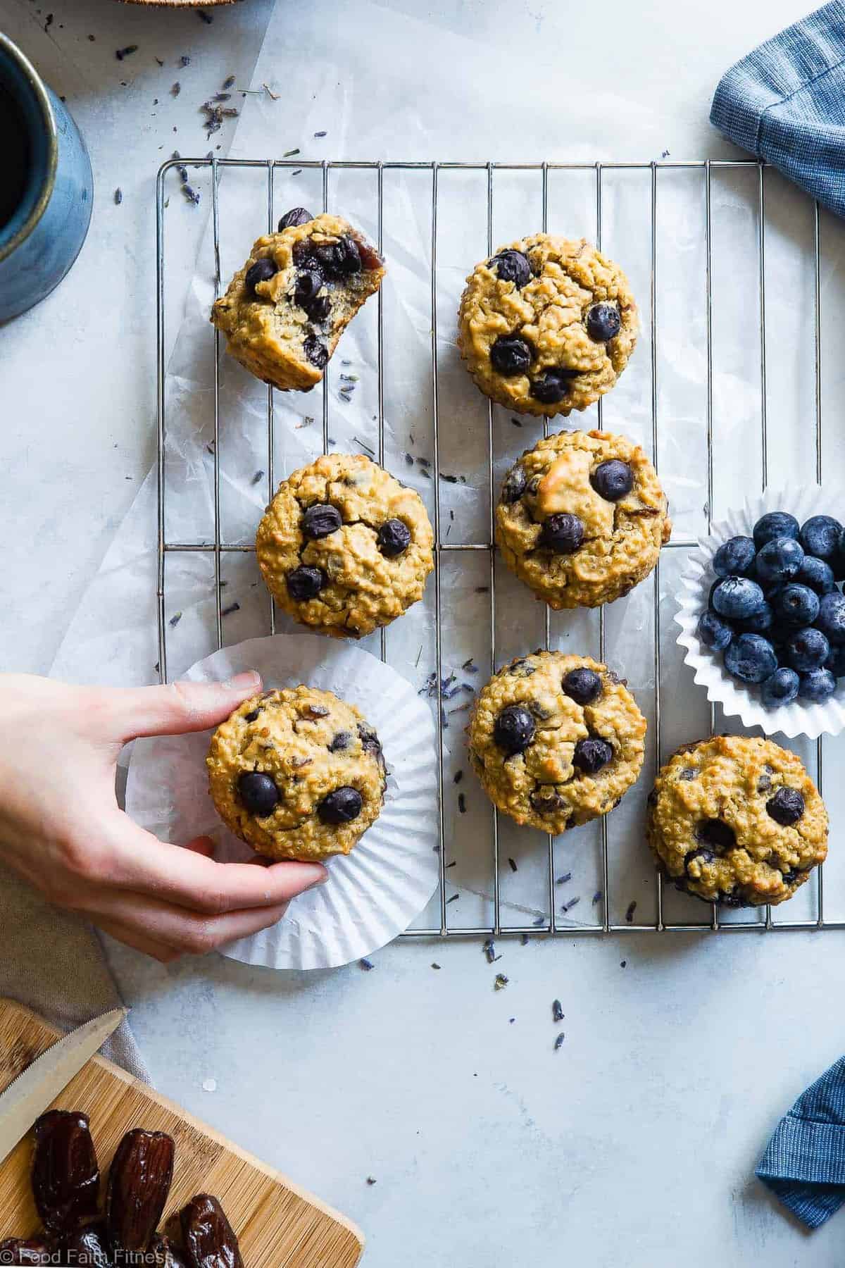 High Protein Blueberry Quinoa Muffins - Naturally sweetened, gluten free, dairy free and packed with plant based protein and fiber! These muffins are quick and easy to make and great for kids lunchboxes or snacks! Adults love them too! | #Foodfaithfitness | #Glutenfree #Dairyfree #Proteinpowder #Healthy #Quinoa