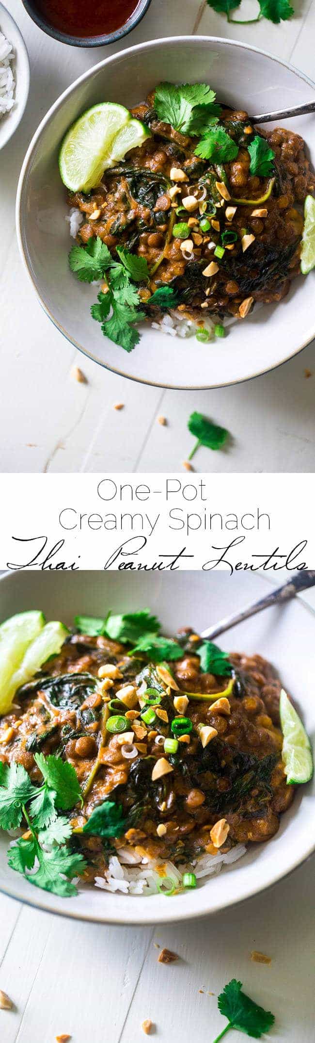 One-Pot Creamy Spinach Lentils - These Thai-style lentils are stewed in creamy peanut butter and coconut milk. They're a vegetarian, one pot wonder that is perfect for Meatless Monday! | Foodfaithfitness.com | @FoodFaithFit