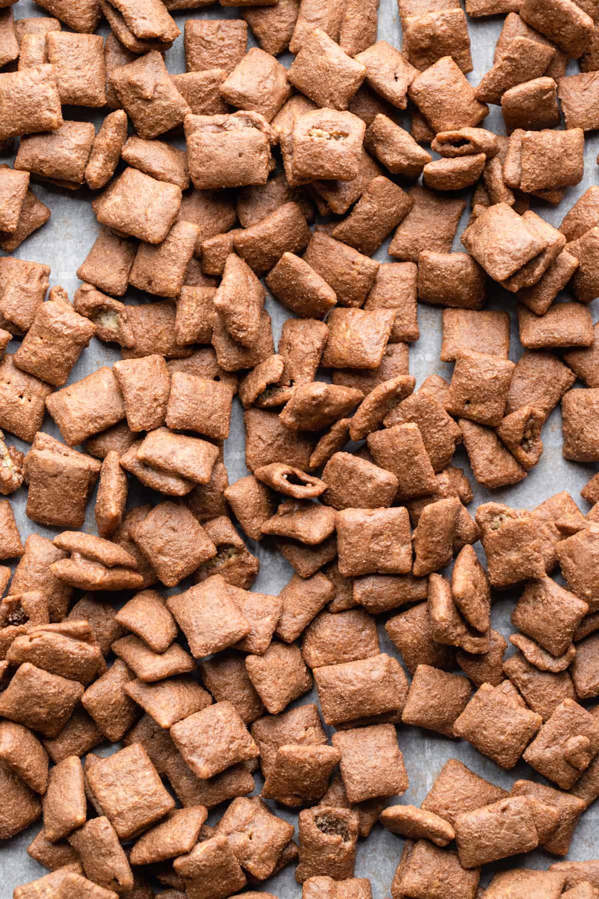 a large batch of Healthy Puppy Chow