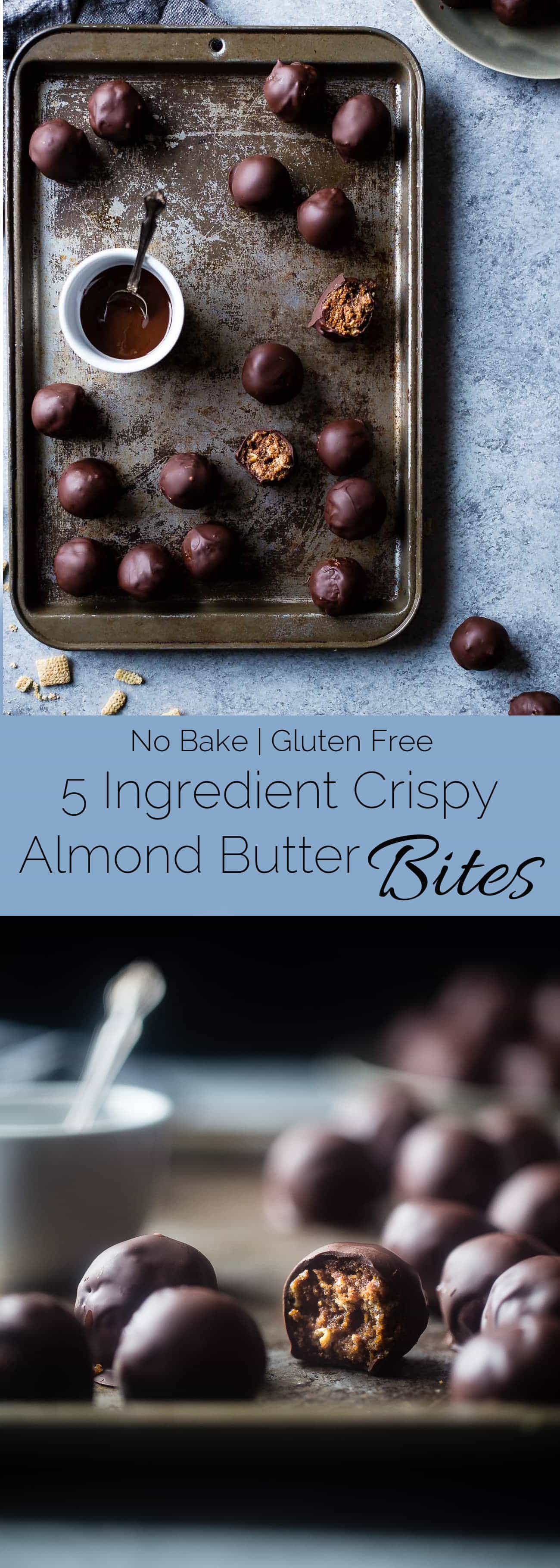 No Bake Crispy Almond Butter Chocolate Bites - These super easy, gluten free no-bake bites only use 5 ingredients! They're a healthier treat to curb your sweet tooth, and they are only 100 calories! | Foodfaithfitness.com | @FoodFaithFit