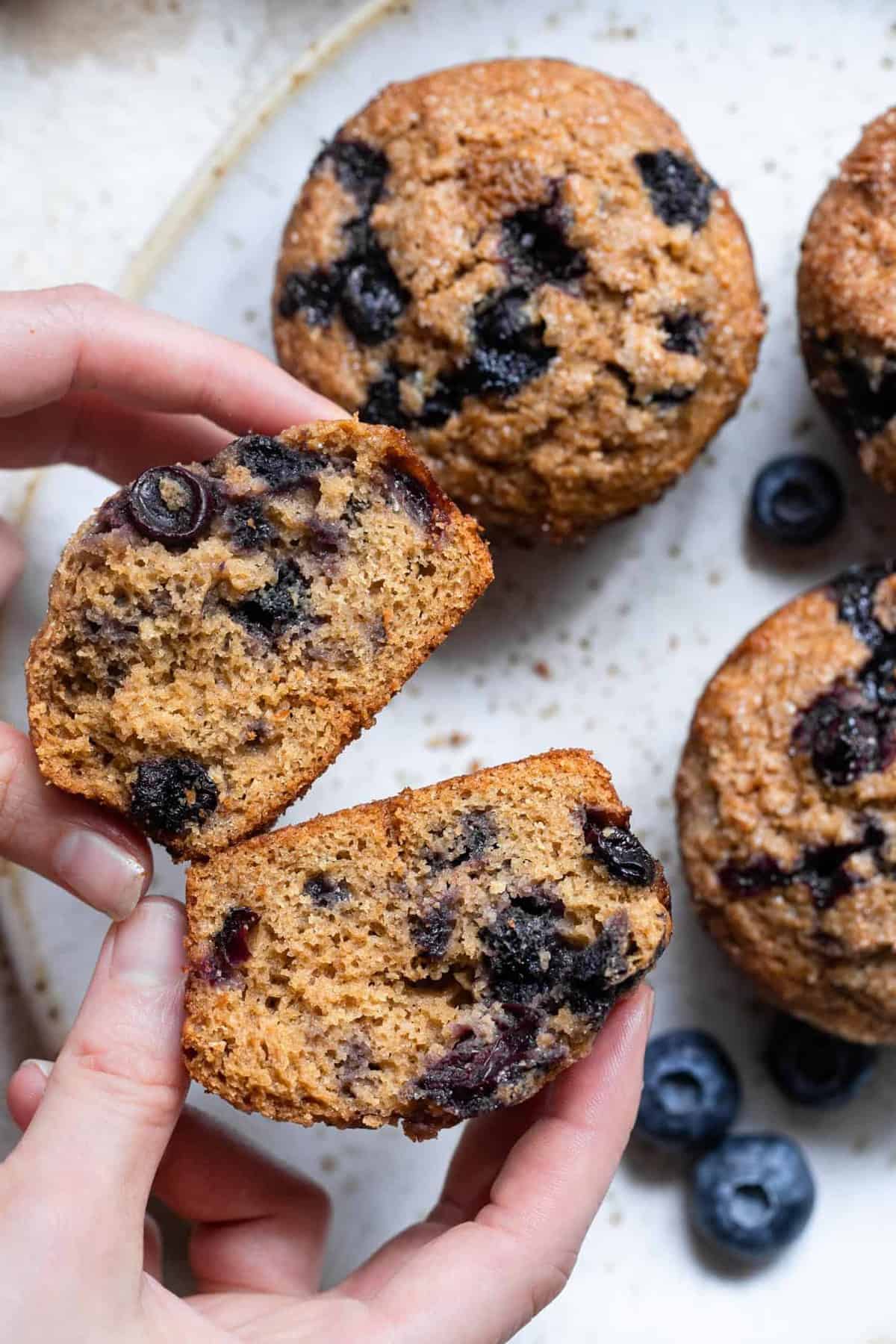 whole wheat blueberry muffins cut in half with a hand holding it