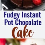 Instant Pot Chocolate Cake collage photo