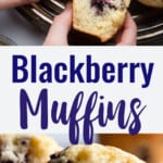 Blackberry Muffins collage photo