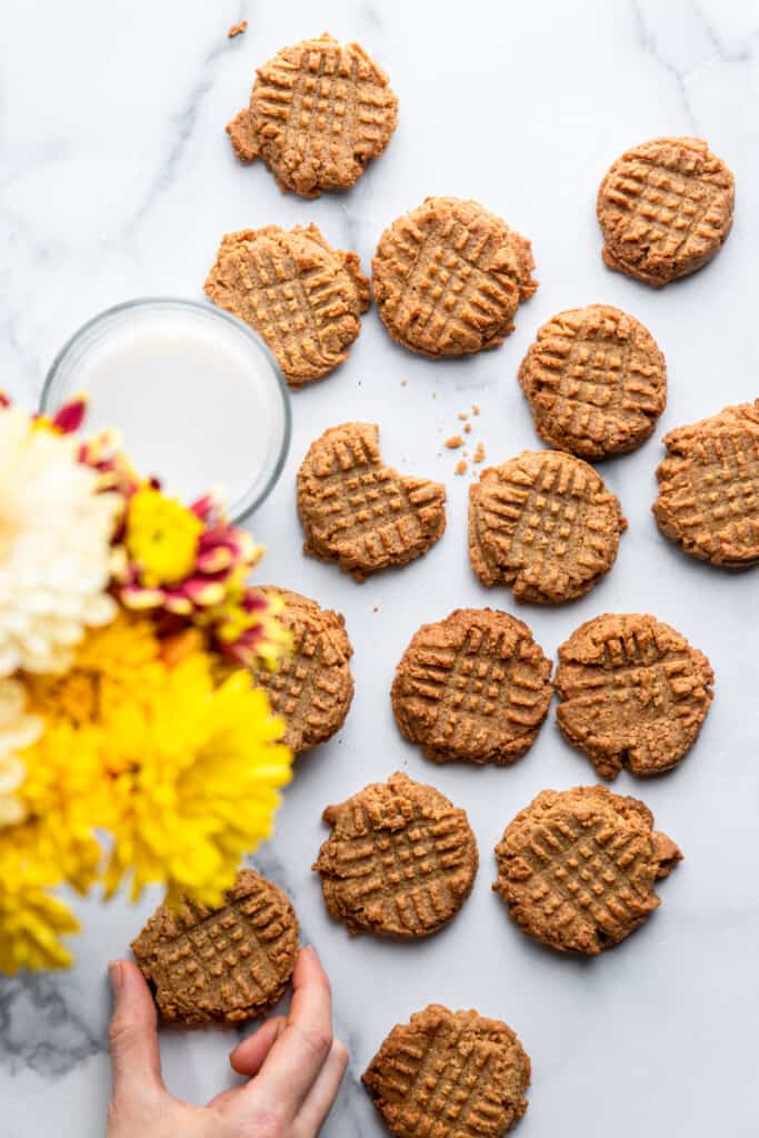 Sugar Free Peanut Butter Cookies on a table with a glass of milk