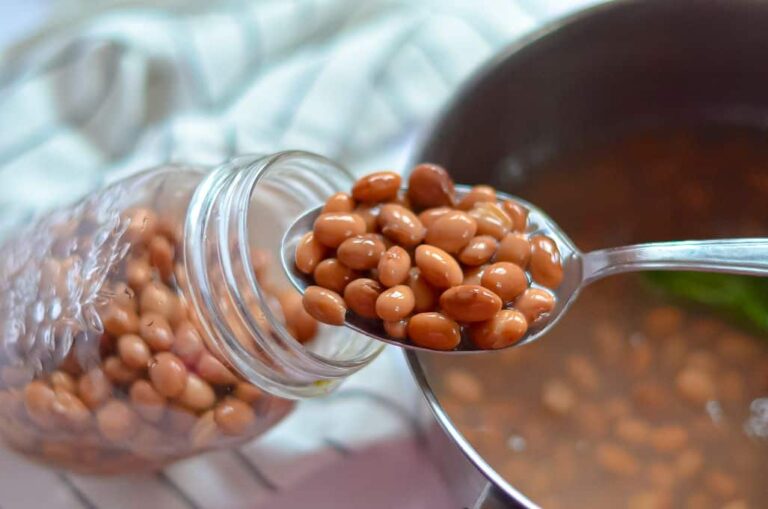 Pinto Beans Recipe Food Faith Fitness pinto-beans-recipe-food-faith-fitness