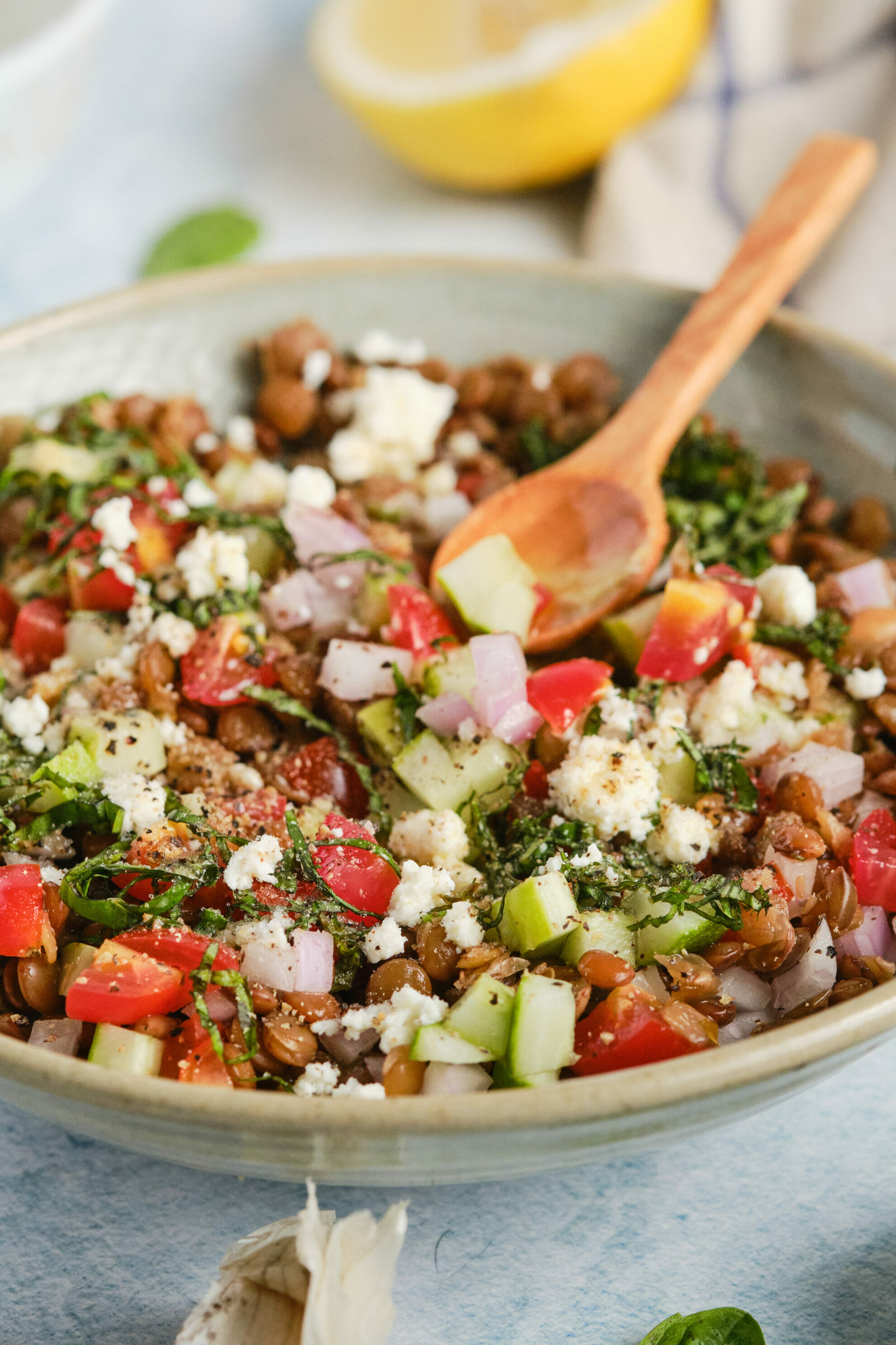 Easy and Healthy Lentil Salad Recipe featured