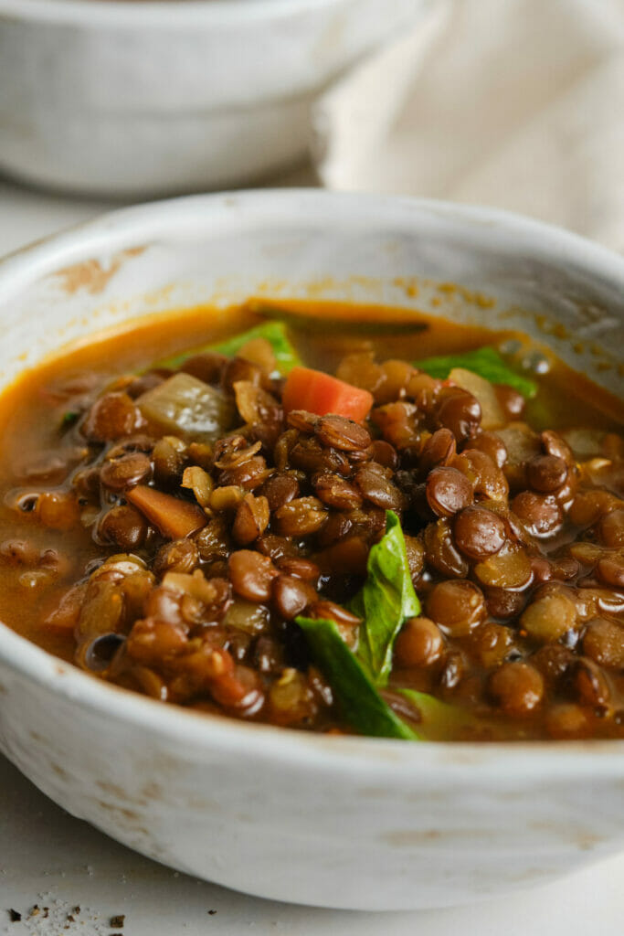 Delicious (and Healthy!) Lentil Soup