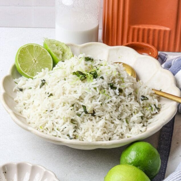 Coconut Cilantro Lime Rice featured image side view