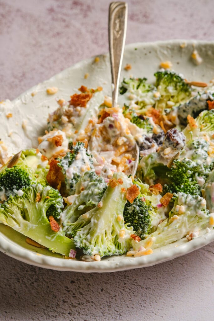 Broccoli Salad Recipe
