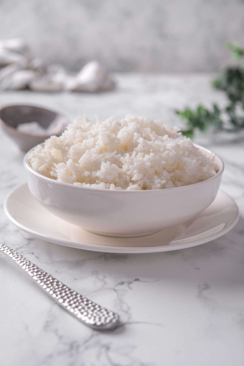 Steamed Rice Texture Steamed Rice - Food Faith Fitness